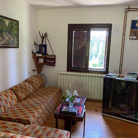 Mystic Forest Hostel Mitrovac Extérieur photo