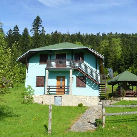 Mystic Forest Hostel Mitrovac Extérieur photo