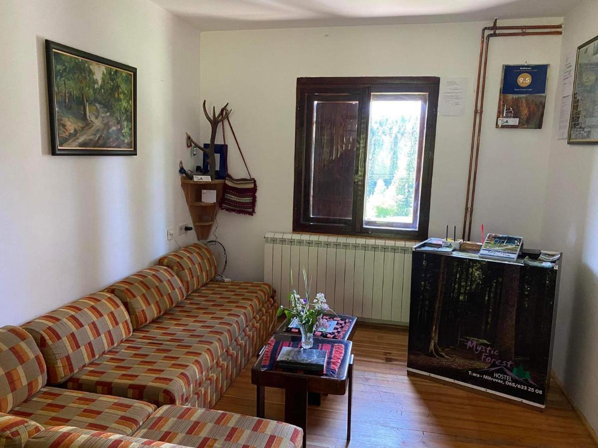 Mystic Forest Hostel Mitrovac Extérieur photo