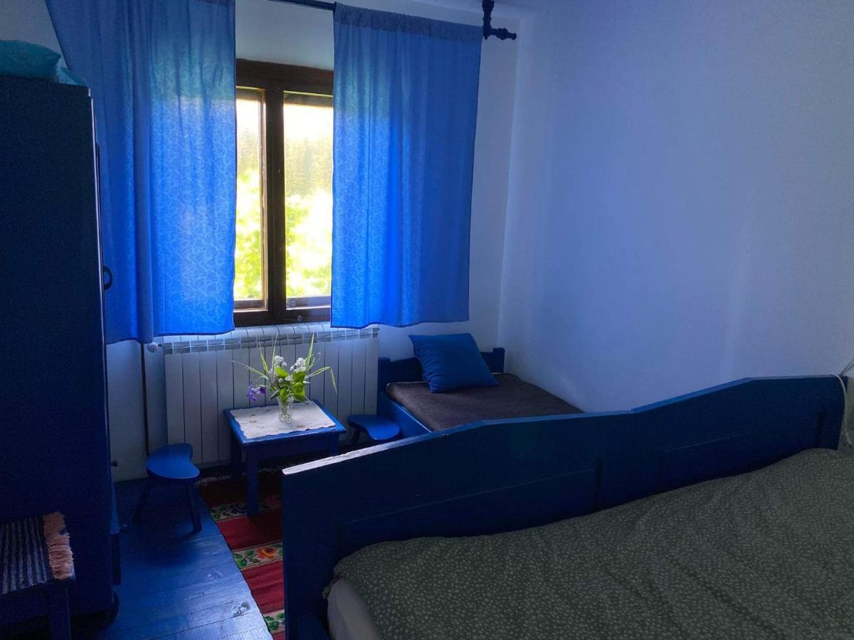 Mystic Forest Hostel Mitrovac Extérieur photo