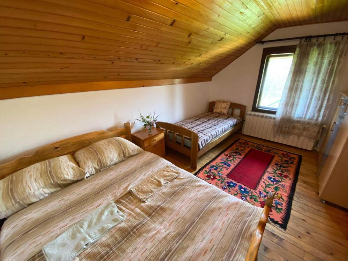 Mystic Forest Hostel Mitrovac Extérieur photo