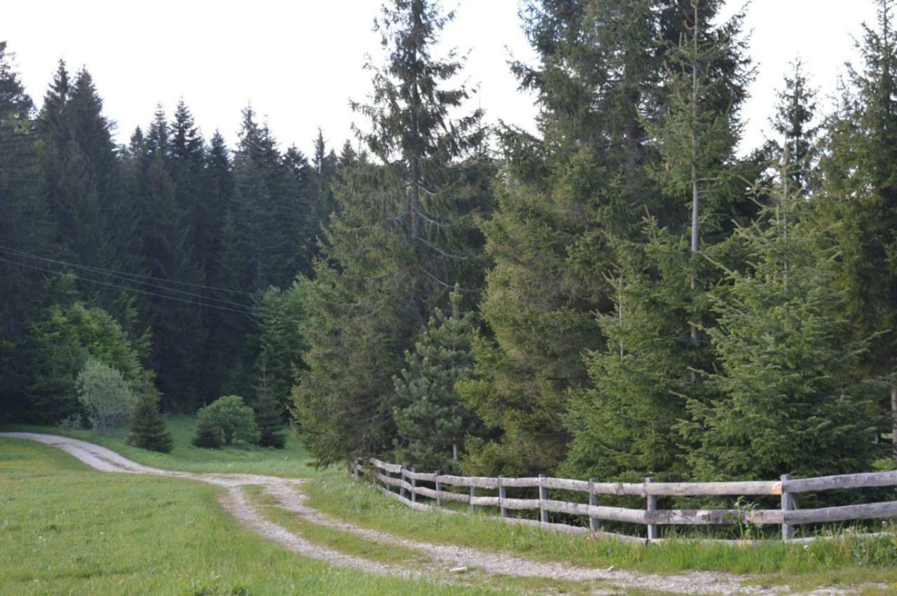 Mystic Forest Hostel Mitrovac Extérieur photo
