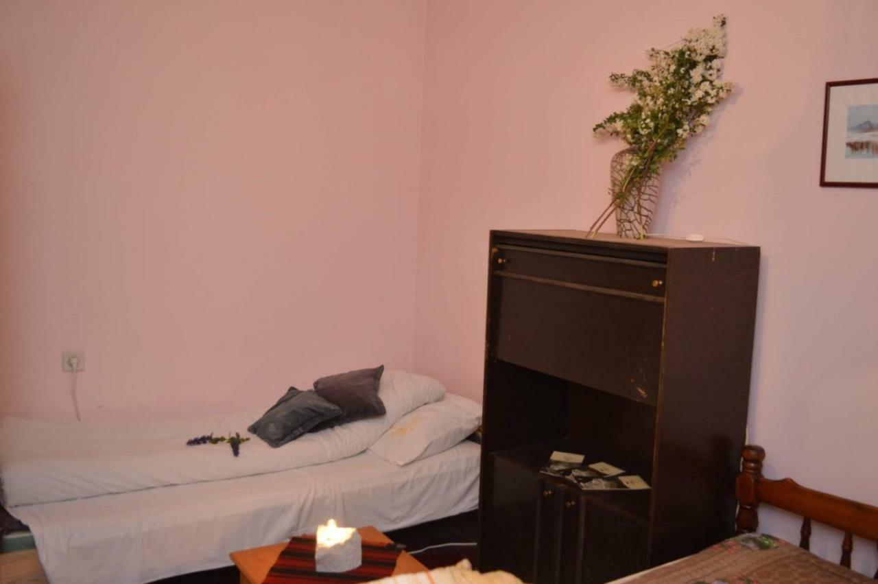 Mystic Forest Hostel Mitrovac Extérieur photo