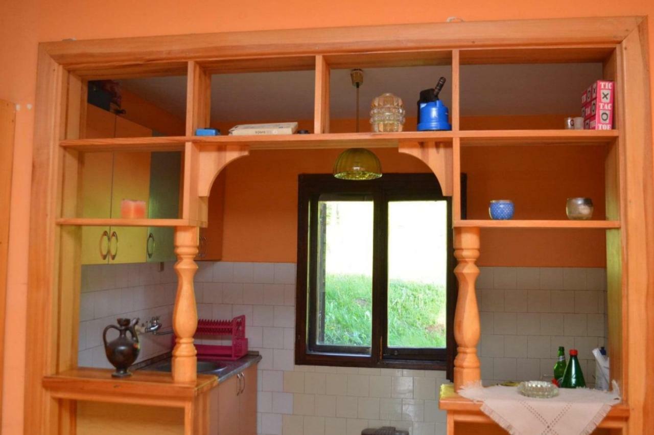 Mystic Forest Hostel Mitrovac Extérieur photo